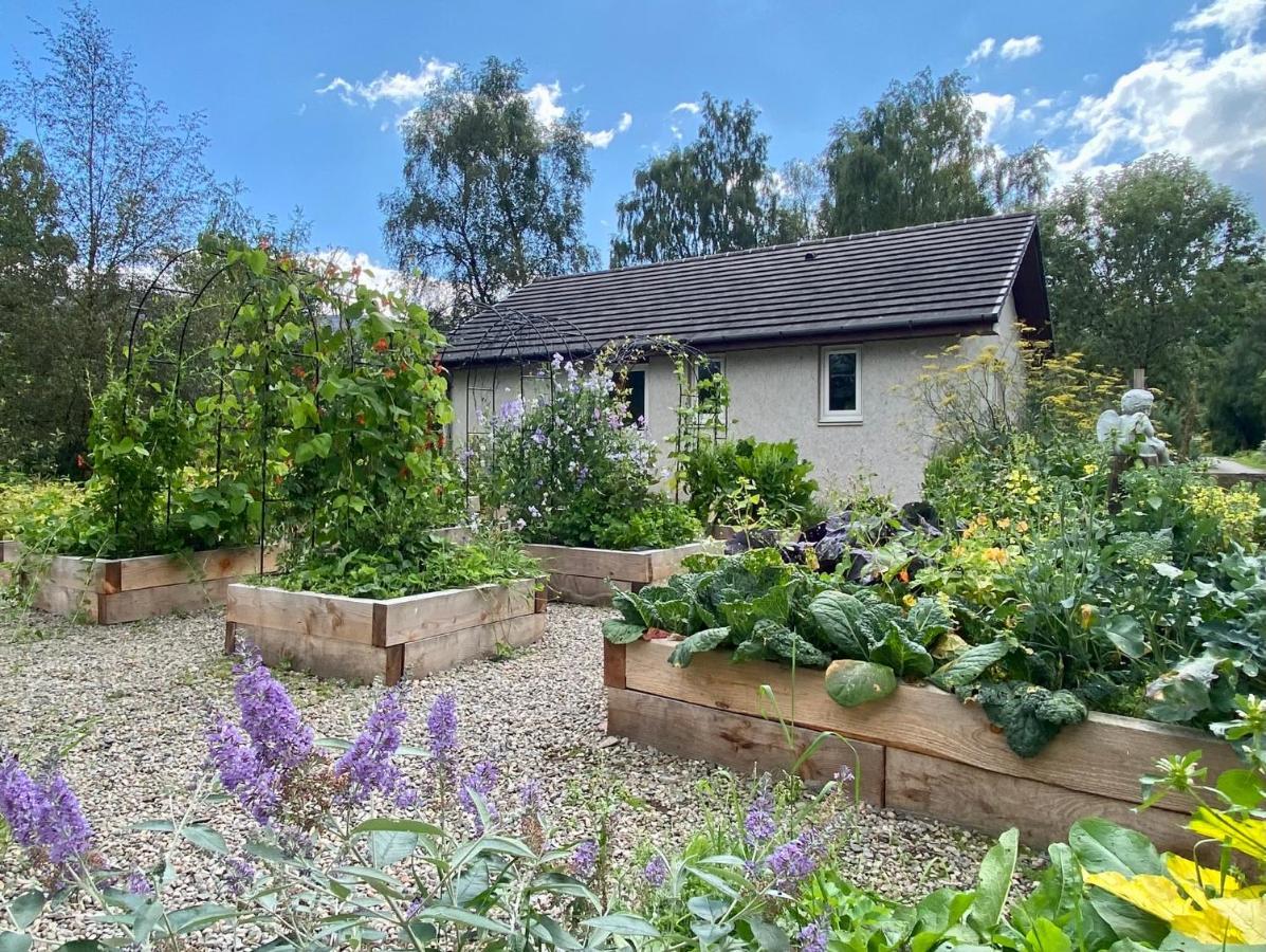 Homestead Cottage, Fort Augustus Buitenkant foto