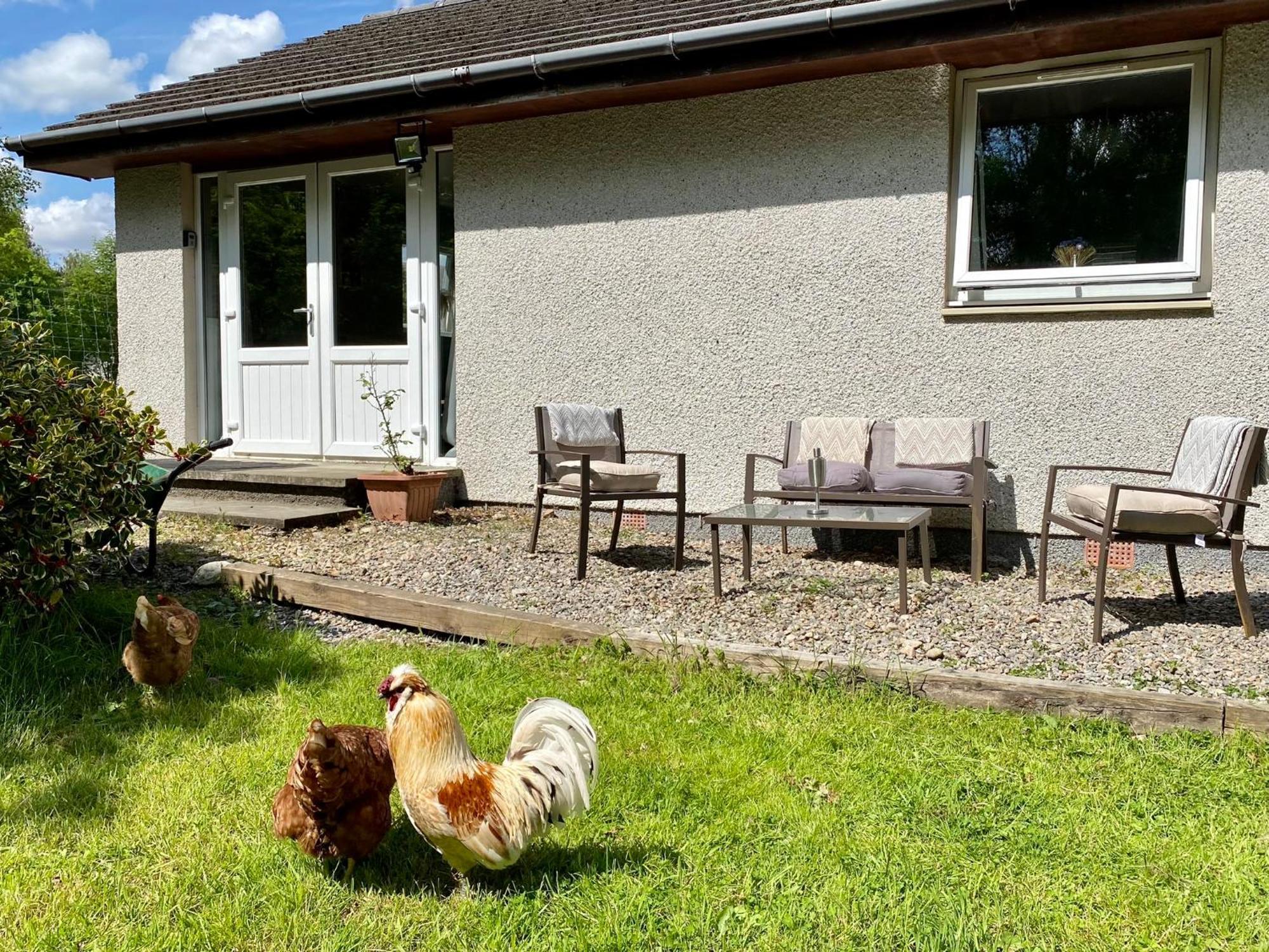 Homestead Cottage, Fort Augustus Buitenkant foto